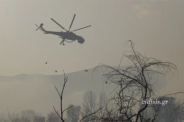 fotia-doirani-voulgarias-eidiseis-kilkis.jpg fotia-doirani-voulgarias-eidiseis-kilkis.jpg
