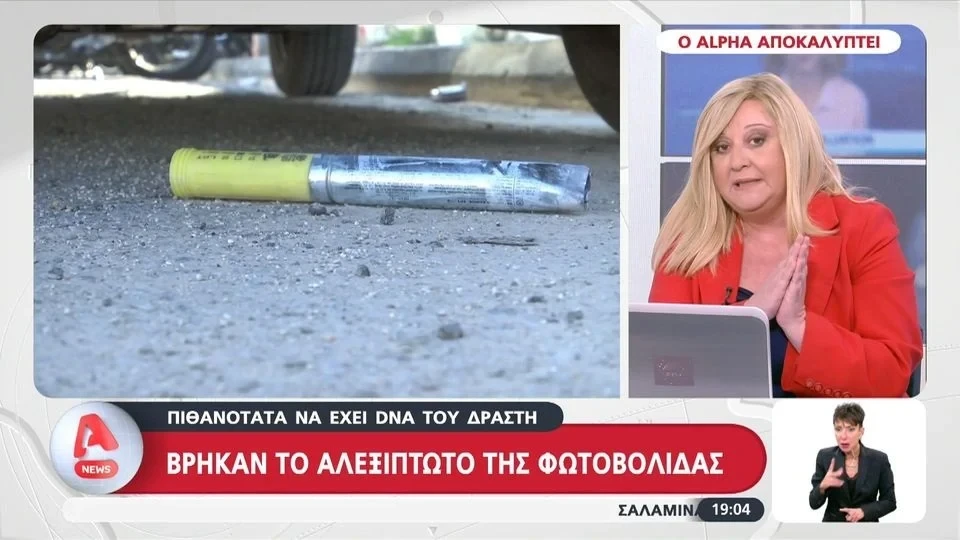 kariofilli-tatiana-stefanidou.webp kariofilli-tatiana-stefanidou.webp