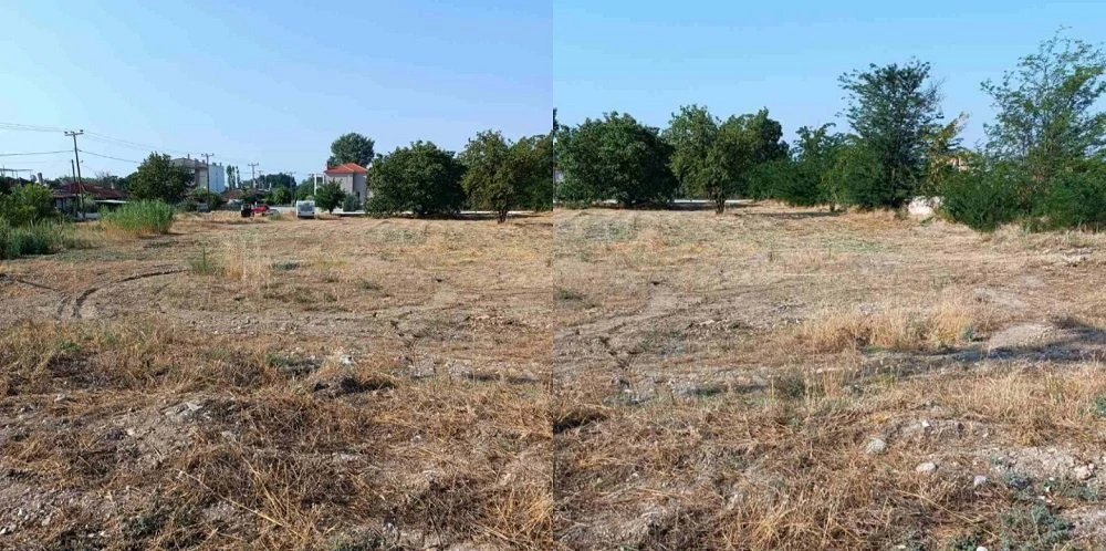 apopsilosi3.jpg apopsilosi3.jpg