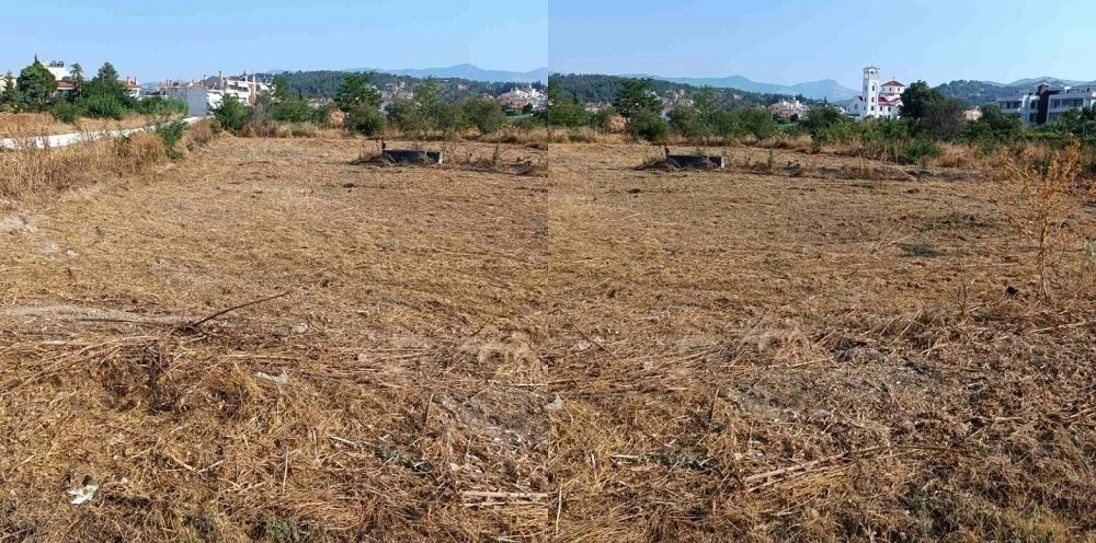 apopsilosi6.jpg apopsilosi6.jpg