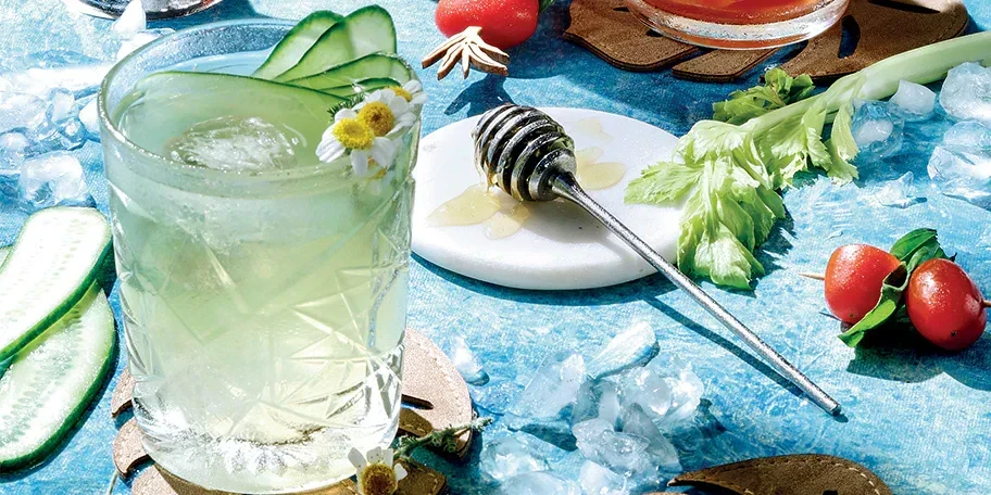 cucumber-cooler.webp cucumber-cooler.webp