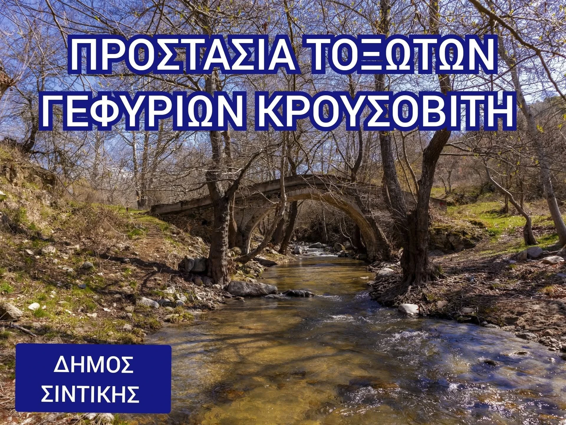 img-1.jpg?v=0 img-1.jpg?v=0
