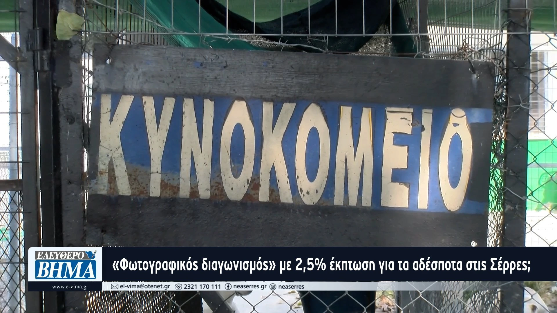 kinokomeio-serres-fotografikos-diagonismos-frontida-zoon.jpg?v=0 kinokomeio-serres-fotografikos-diagonismos-frontida-zoon.jpg?v=0