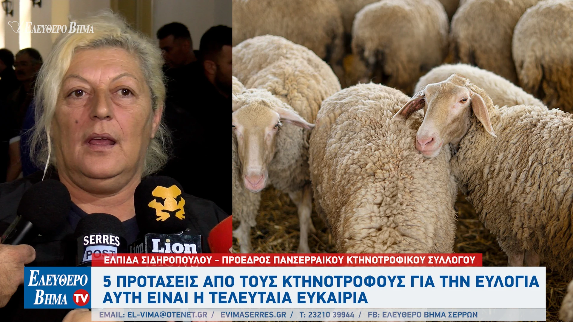 elpida-sidiropoulou-evlogia-provaton-ktinotrofoi-serron-ipourgeio-agrotikis-anaptiksis.jpg elpida-sidiropoulou-evlogia-provaton-ktinotrofoi-serron-ipourgeio-agrotikis-anaptiksis.jpg