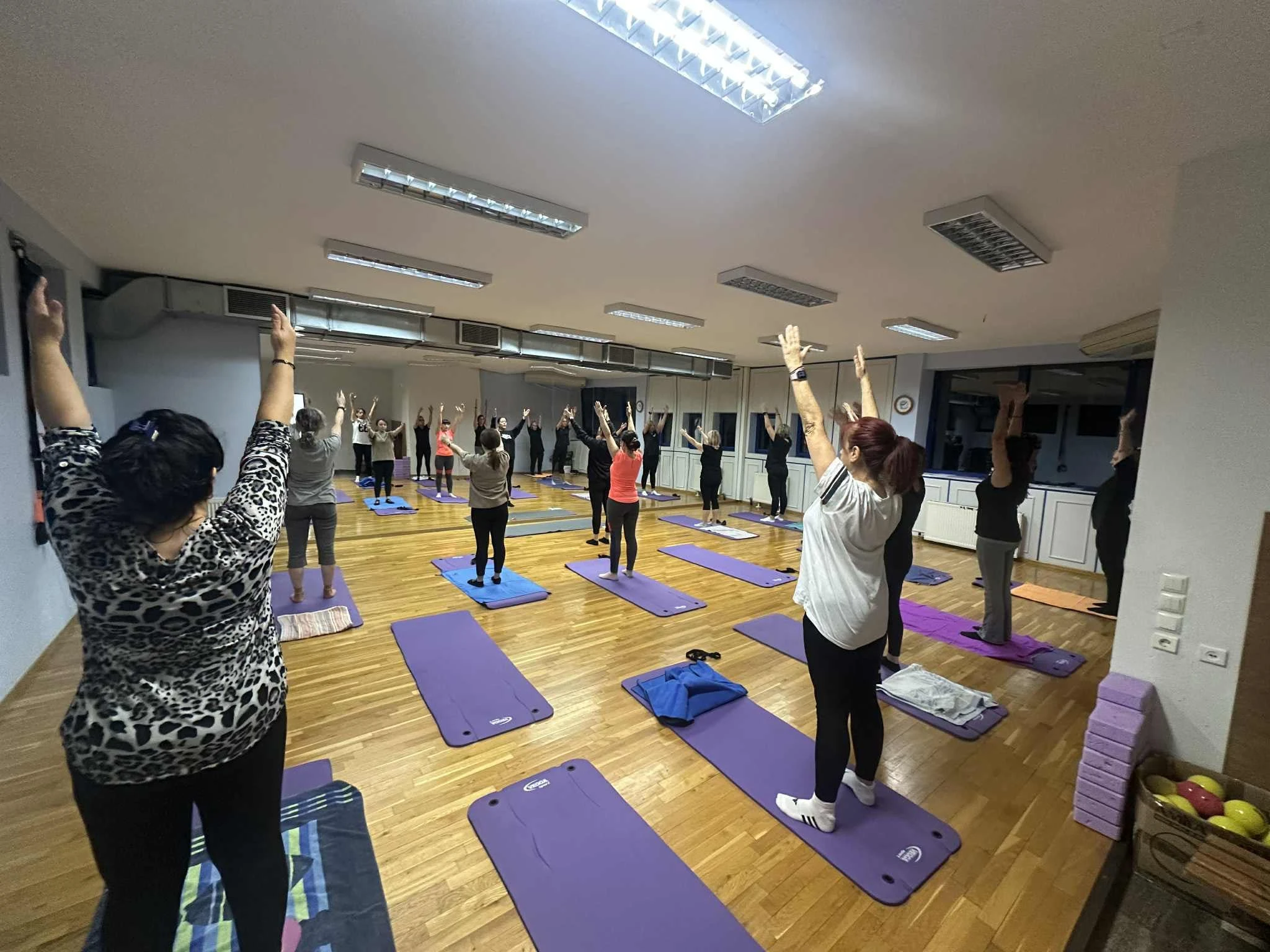 scholichorou.jpg?v=0