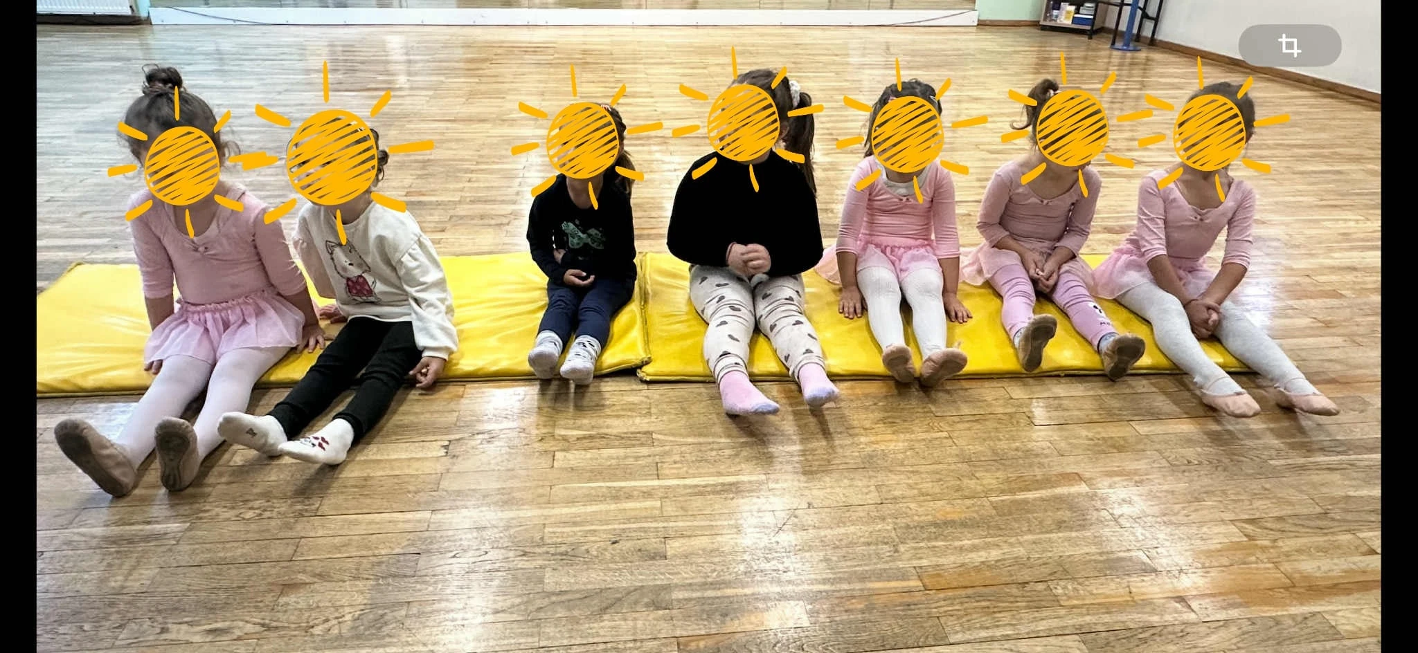 scholichorou2.jpg?v=0