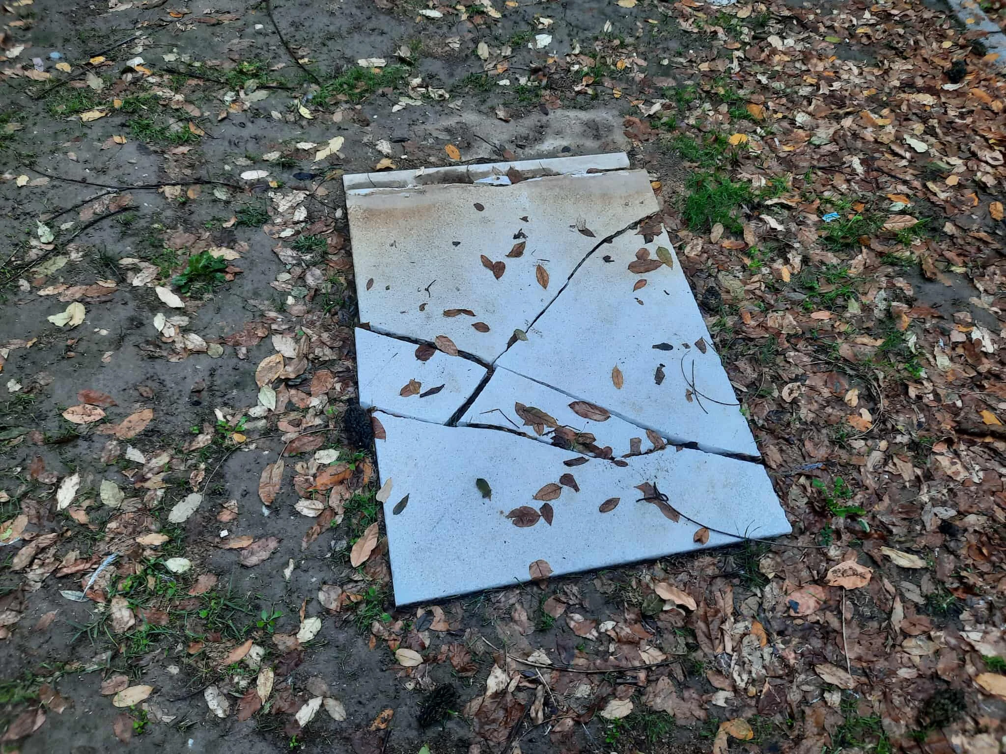 parko-katsanh-2.jpg?v=0