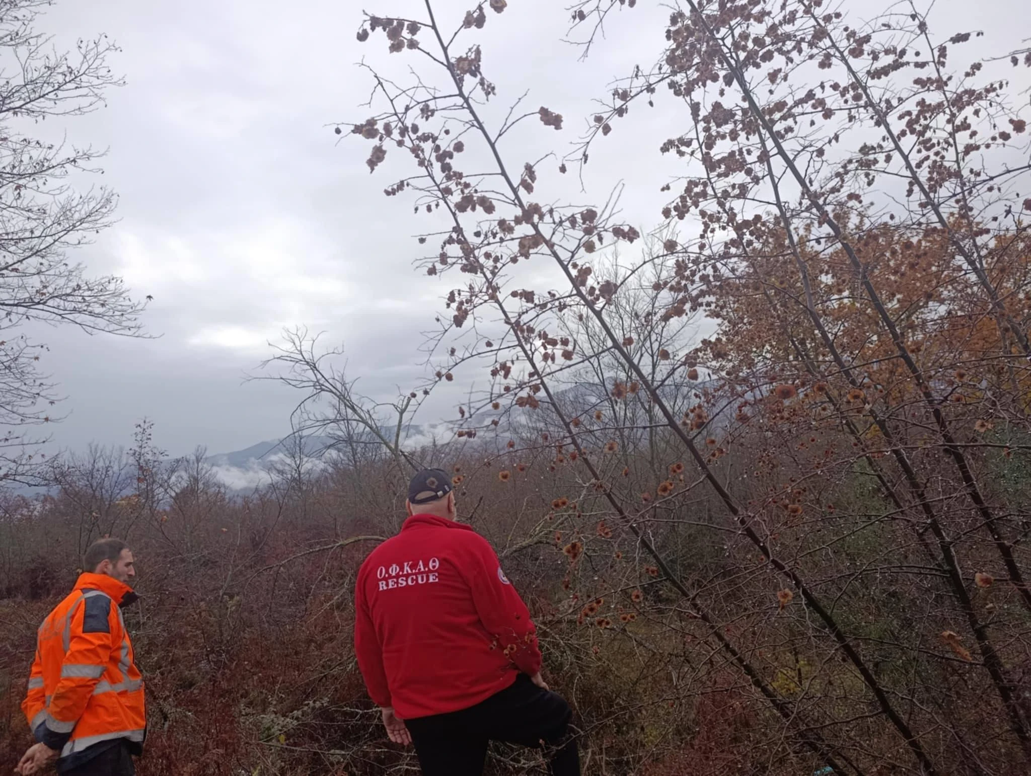 ofkath-fwto2-ZqorP.jpg?v=0