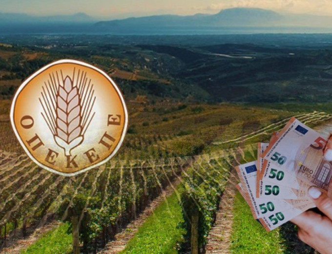 Δίκη ΟΠΕΚΕΠΕ – Τυχεροπούλου: «Ηταν ενήμεροι όλοι για όλα όσα συνέβαιναν»