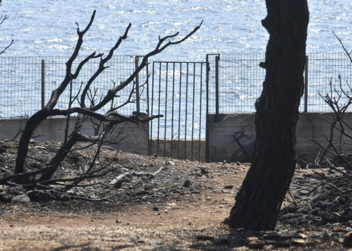 Η ΠΛΗΡΗΣ ΛΙΣΤΑ ΤΩΝ 20 «ΥΠΟΠΤΩΝ» ΓΙΑ ΤΗΝ ΤΡΑΓΩΔΙΑ ΣΤΟ ΜΑΤΙ!