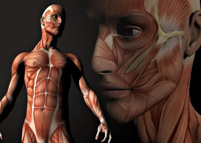 OI AΣΘΕΝΕΙΕΣ ΠΟΥ ΠΡΟΚΑΛΕΙ Ο ΧΑΡΑΚΤΗΡΑΣ ΜΑΣ!