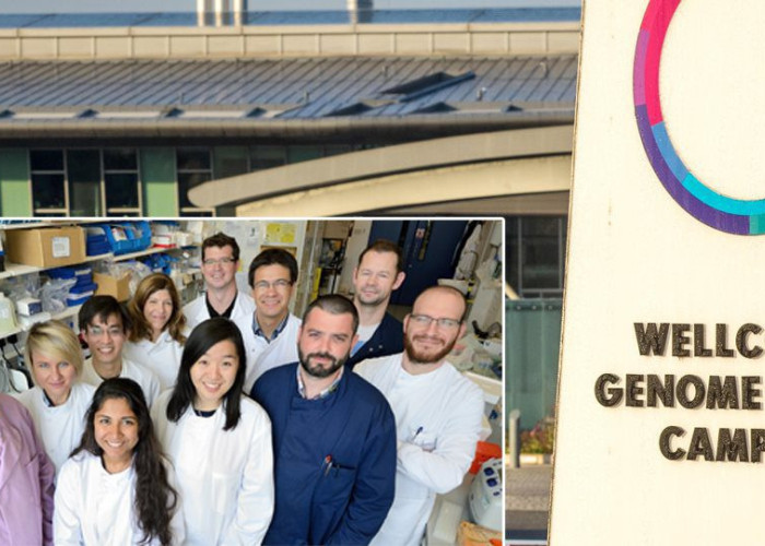 ΘΕΡΑΠΕΙΑ ΛΕΥΧΑΙΜΙΑΣ ΜΕ ΚΟΛΛΥΡΙΟ ΠΟΥ ΑΝΑΚΑΛΥΨΕ Η ΕΛΛΗΝΙΚΗ DREAM TEAM TOY CAMBRIGDE!