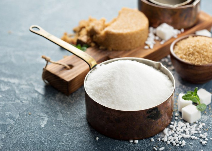 Η ΣΩΣΤΗ ΔΙΑΤΡΟΦΗ ΓΙΑ ΤΑ ΑΥΤΟΑΝΟΣΑ ΝΟΣΗΜΑΤΑ!