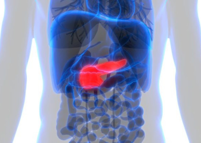 ΚΑΡΚΙΝΟΣ ΣΤΟ ΠΑΓΚΡΕΑΣ: ENAΣ ΣΤΟΥΣ ΤΡΕΙΣ ΕΝΗΛΙΚΕΣ ΑΓΝΟΕΙ ΑΥΤΑ ΤΑ «ΑΘΩΑ» ΣΗΜΑΔΙΑ!