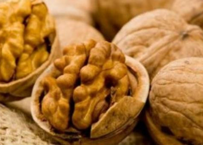 ΚΑΡΥΔΙΑ ΓΙΑ ΤΗΝ ΚΑΡΔΙΑ, ΤΑ ΑΓΓΕΙΑ, ΤΗ ΜΝΗΜΗ, ΤΟΝ ΚΑΡΚΙΝΟ ΚΑΙ ΑΛΛΑ!