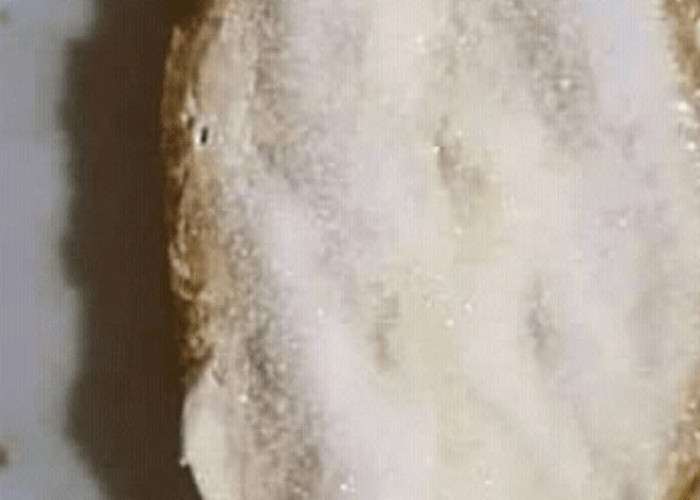 Ψωμί με ζάχαρη – Το θυμάστε;