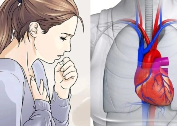 Αναγνώρισέ τα εγκαίρως: 3 ύπουλα σημάδια που δείχνουν πρόβλημα στην καρδιά σου και δεν πρέπει να αγνοήσεις