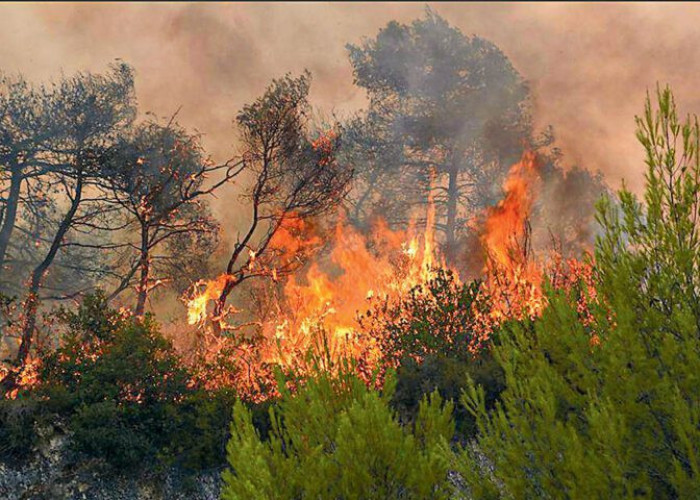 ΟΙ ΚΑΛΟΚΑΙΡΙΝΕΣ ΠΥΡΚΑΓΙΕΣ- Γράφει ο Γιώργος Βεζυργιαννίδης