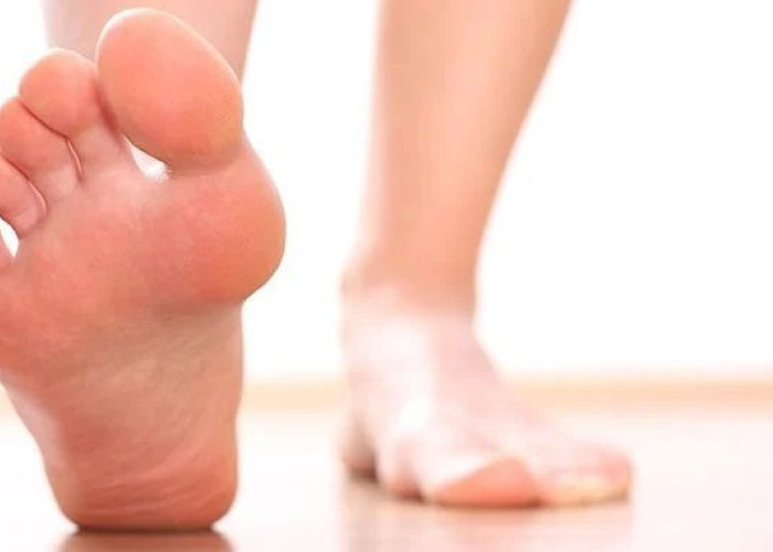 Μύκητες: Οι παράγοντες κινδύνου, η κλινική κατάσταση και τα βασικά προληπτικά μέτρα