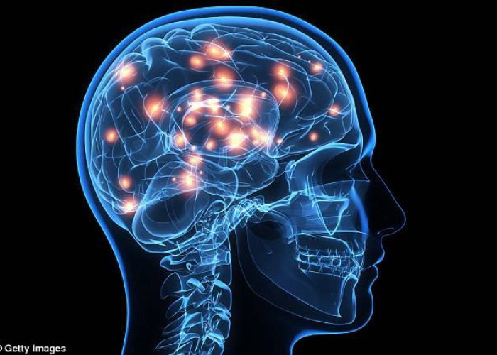 Ο πολύπλοκος ανθρώπινος εγκέφαλος – Η συγκίνηση είναι η ενέργεια που κινεί τον κόσμο.