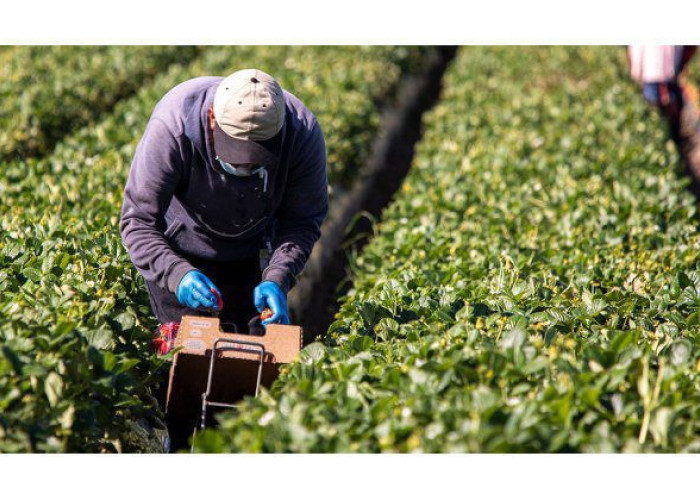 N.E ΠΑΣΟΚ Σερρών: Αγρότες σε απόγνωση – Κυβέρνηση σε αποδρομή