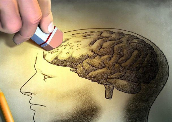 Για την Άνοια του Δήμου Σερρών: Δωρεάν προληπτικός έλεγχος μνήμης από τον Συμβουλευτικό Σταθμό