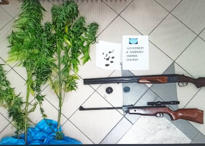 Σε σπίτι στην Ασπροβάλτα: Βρέθηκε μικρή φυτεία ινδικής κάνναβης