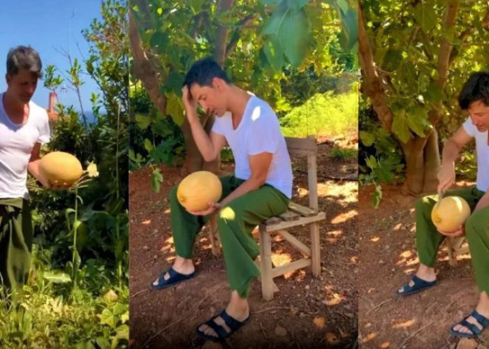 Δάκρυα χαράς: Ο Σάκης Ρουβάς βγάζει το 1ο του πεπόνι από το μποστάνι του και η συγκίvησή του είvαι μεγάλη