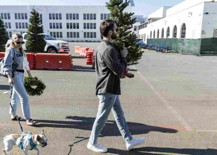 Τσουχτερές οι τιμές εν όψει Χριστουγέννων!