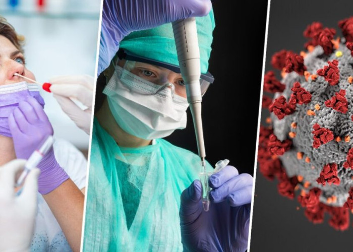 Κορονοϊός – Σαρηγιάννης για νέα μετάλλαξη ΒQ.1: Έχει τη δυναμική να “κατασπαράξει” τις υπάρχουσες