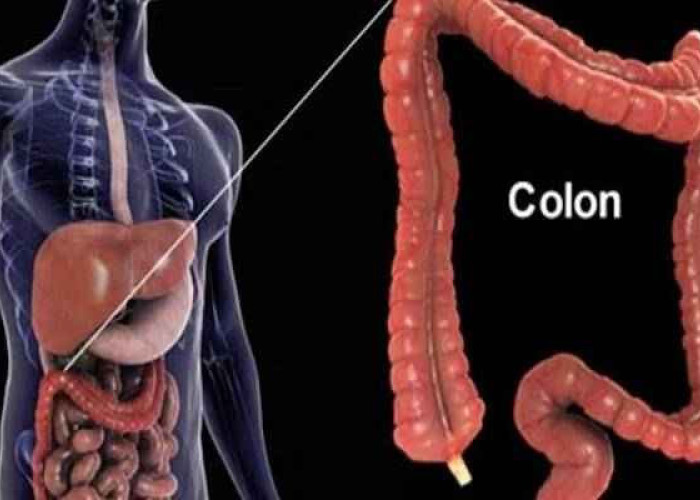 Ρώσος βιολόγος: «Ο θάνατος του ανθρώπου ξεκινάει από το στομάχι – Πώς θα καταλάβετε ότι κάτι δεν πάει καλά»