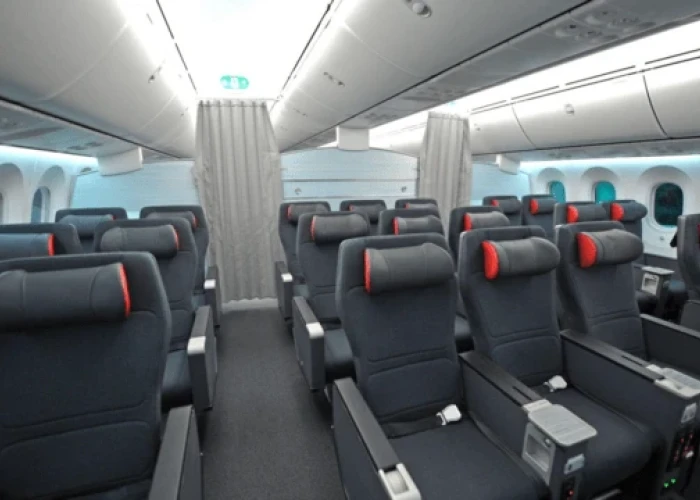 Παραπονέθηκαν ότι οι θέσεις τους μύριζαν εμετό και τους κατέβασαν από το αεροπλάνο