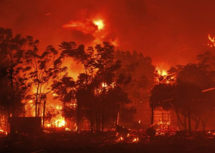 Ν.Ε ΠΑΣΟΚ Σερρών: Η χώρα παραδομένη στις φλόγες από άκρη ως άκρη!