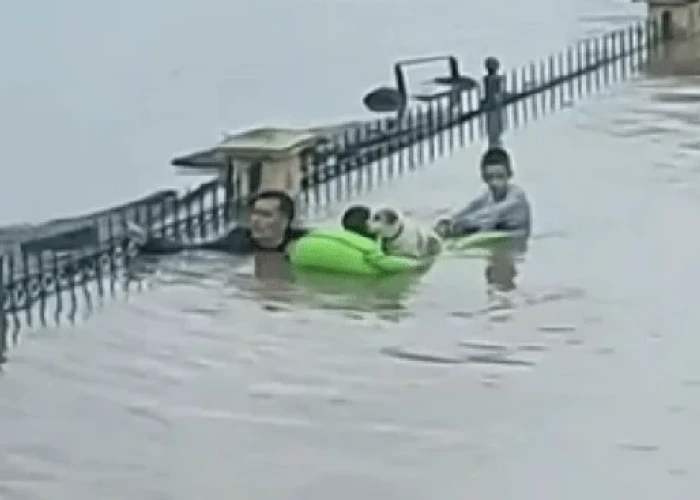 Η στιγμή που άνδρας, με το νερό ως το λαιμό, κουβαλά δύο παιδιά πάνω σε στρώμα