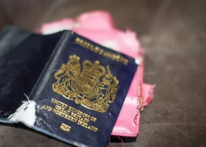 Ο σκύλος έφαγε το διαβατήριό της, χάνει τον τελικό του Παγκοσμίου κυπέλλου ράγκμπι