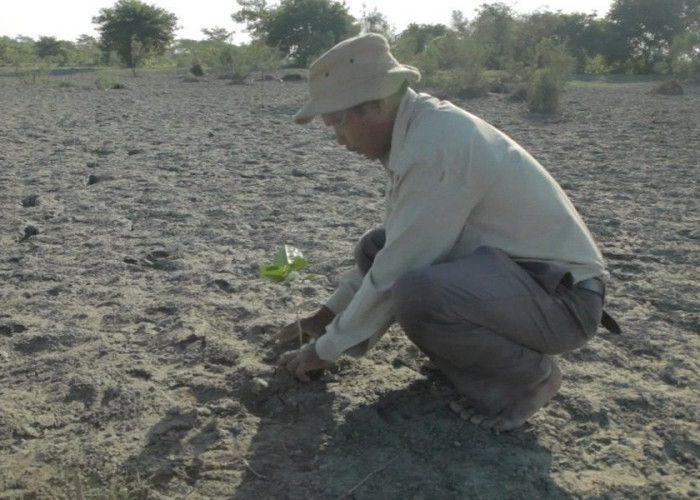 Ο άνθρωπος που φύτεψε μόνος ένα δάσος μεγαλύτερο και από το central park