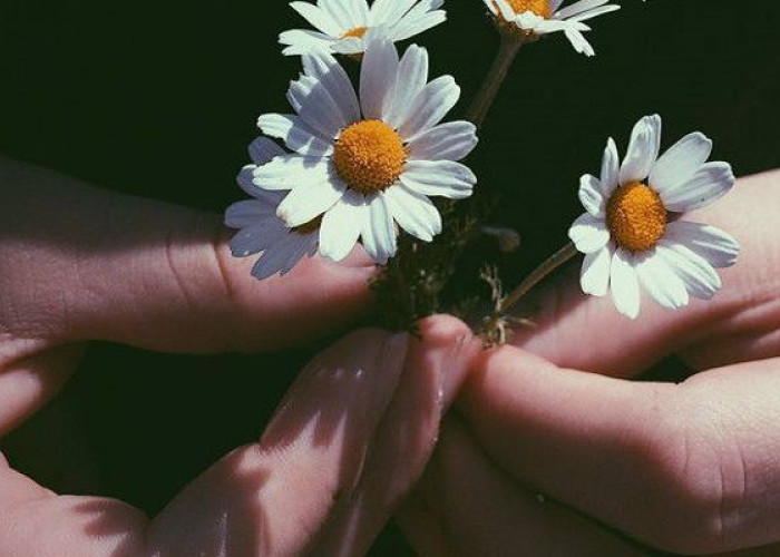 Μενέλαος Λουντέμης: «Να αγαπάς όπως πρέπει να αγαπηθούν μια μέρα όλοι οι άνθρωποι»