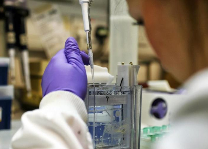 Nέο τεστ DNA μπορεί να ανιχνεύσει 18 τύπους καρκίνου  