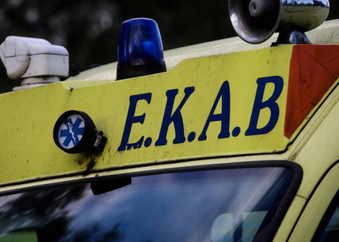 Πανικός σε παραλία του Βόλου: Φίδι δάγκωσε γυναίκα μέσα στη θάλασσα