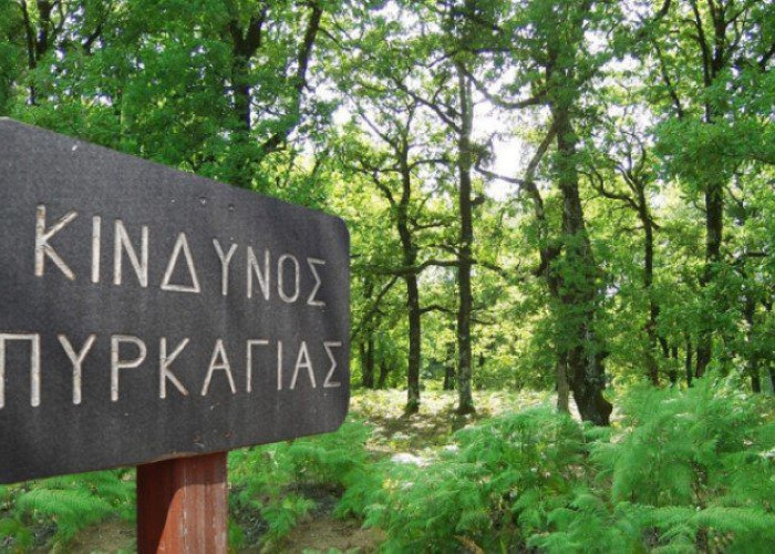 Κίνδυνος πυρκαγιών στη πόλη και στο Νομό Σερρών