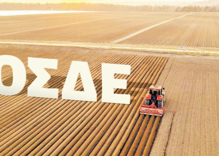 Άρχισαν οι δηλώσεις ΟΣΔΕ μέσω σύνδεσης με τους προσωπικούς κωδικούς taxisnet