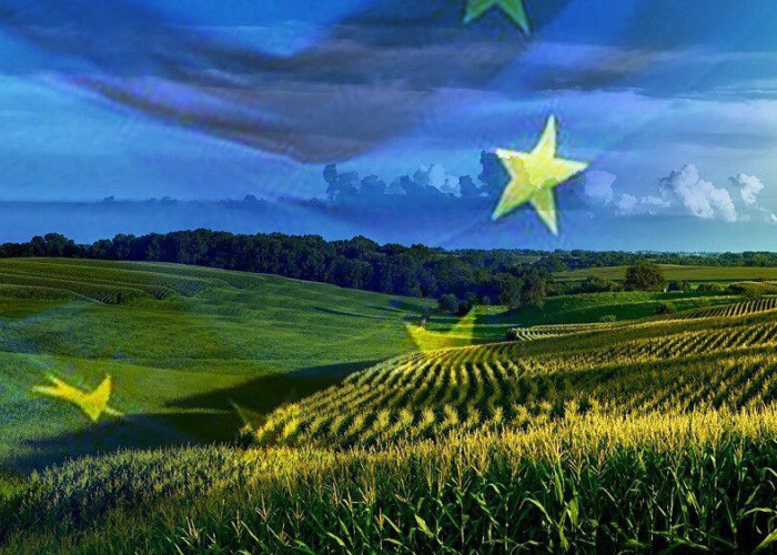 Πράσινο φως για την αναθεώρηση της ΚΑΠ από το Ευρωκοινοβούλιο