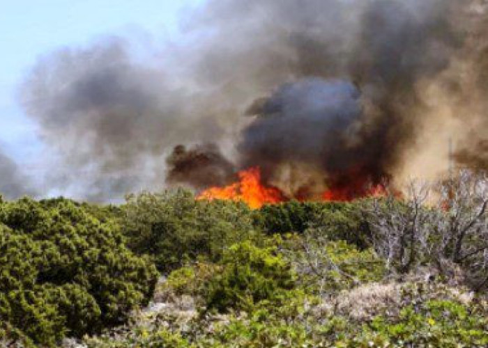Οριοθετήθηκε η φωτιά στην περιοχή Λαϊλιάς Σερρών