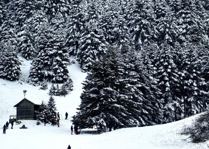 Σέλι Ημαθίας: Αγωνία για τον 18χρονο που αγνοείται – Δεν βρέθηκε κανένα ίχνος του