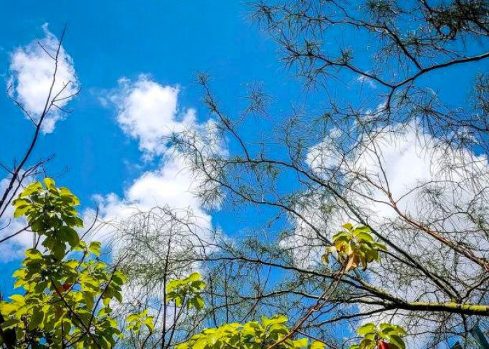 Αίθριος ο καιρός τη Δευτέρα του Πάσχα – Αλλάζει το σκηνικό από την Τρίτη, έρχονται βροχές και καταιγίδες