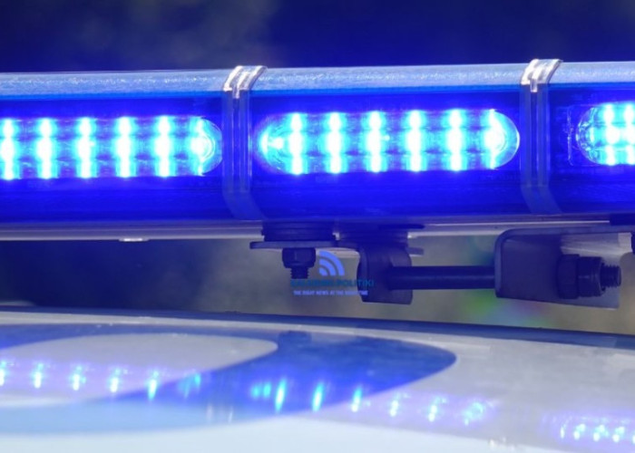 189 δενδρύλλια κάνναβης σε δύσβατη περιοχή της Χαλκιδικής