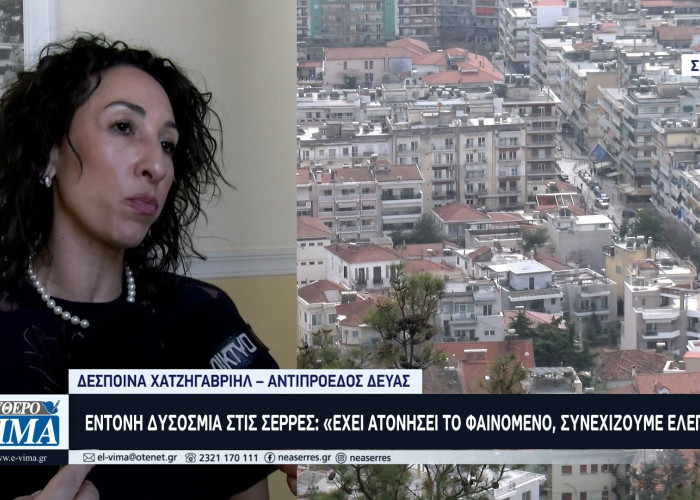 Έντονη Δυσοσμία στις Σέρρες: «Δεν ήταν από τη ΔΕΥΑΣ, πιθανόν ζωικής προέλευσης» αναφέρει η κ. Χατζηγαβριήλ