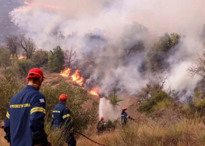 Υψηλός ο κίνδυνος πυρκαγιάς στο Δήμο Σερρών- Σε ετοιμότητα όλες οι συναρμόδιες υπηρεσίες