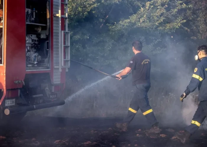 Βοιωτία: Σύλληψη για εμπρησμό από πρόθεση