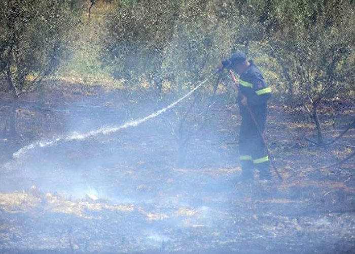 Ηράκλειο: Υπό μερικό έλεγχο η πυρκαγιά στην Καρκαδιώτισσα